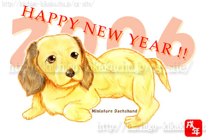 �~�j�`���A�E�_�b�N�X�t���h