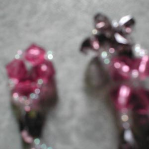 �G���K���g�s���N�p�[���u���X