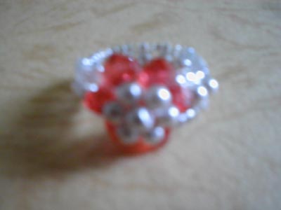 �G���K���g�s���N�p�[���u���X